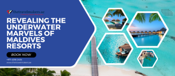 Solo Travel with the best travel agency in Dubai (800 × 350 px) (13).png Solo Travel with the best travel agency in Dubai (800 × 350 px) (13).png