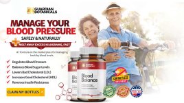 Guardian Botanicals Blood Balance.JPG