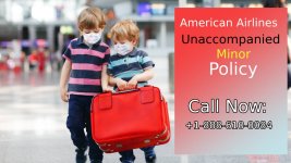 American Airlines Unaccompanied Minor Policy.jpg