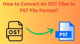 ost to pst (2).jpg ost to pst (2).jpg